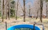 Туры в отель Aishah House Chalet