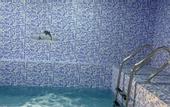 Туры в отель Super OYO 150 Reef Al Khaleej Resort