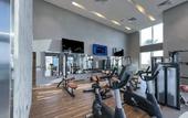 Туры в отель 5242 Dubai Marina JBR Beach & Ain Dubai