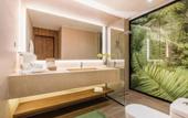 Туры в отель Faranda Single 1 Punta Cana Adults Only
