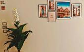 Туры в отель my villa