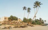 Туры в отель Dreamsea surf camp Sri Lanka