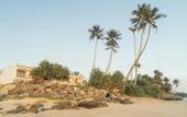Туры в отель Dreamsea surf camp Sri Lanka