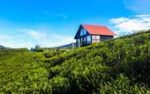 Туры в отель The Blackberry Cottage