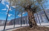 Туры в отель Manifest Restaurant And Hotel Gyumri