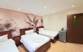 Туры в отель King Khafren View INN