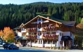 Туры в отель Alpenblick Filzmoos