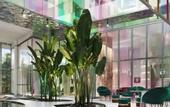 Туры в отель Gem Forest Hotel Nairobi - MGallery Collection