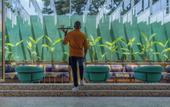 Туры в отель Gem Forest Hotel Nairobi - MGallery Collection