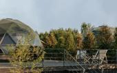 Туры в отель Green Point