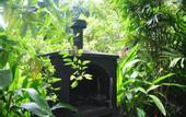 Туры в отель Jungle Fence