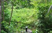 Туры в отель Jungle Fence