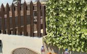 Туры в отель Osiris pyramids view inn