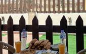 Туры в отель Osiris pyramids view inn