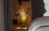 Туры в отель Katun DOM HOTELS