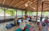 Туры в отель Pure Life Gocek