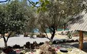 Туры в отель Pure Life Gocek
