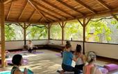 Туры в отель Pure Life Gocek