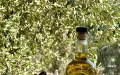 Туры в отель Pure Life Gocek