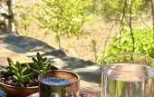 Туры в отель Pure Life Gocek