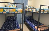 Туры в отель Palm Inn Hostel Mix Dormitory