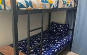 Туры в отель Palm Inn Hostel Mix Dormitory