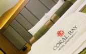 Туры в отель Coral Bay Hotel Khorfakkan Hotel