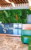 Туры в отель ivy Hotel Spa