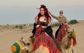 Туры в отель Sunset Luxury Camps