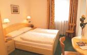 Туры в отель Hotel Garni Snaltnerhof