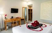 Туры в отель Ari Cottages