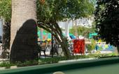 Туры в отель Malibu Garden Resort