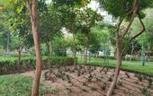 Туры в отель Sobha Creek Vista Tower B Apartments