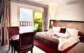 Туры в отель Flower Pyramids Inn