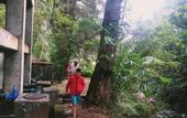 Туры в отель Thalagala Oya Resort