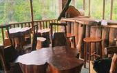 Туры в отель Thalagala Oya Resort