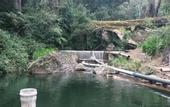 Туры в отель Thalagala Oya Resort