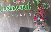Туры в отель Cashewnut Tree Resort