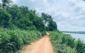 Туры в отель Lake Front Cottage & Restaurent