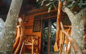 Туры в отель Dudley Nature Resort