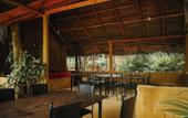 Туры в отель Dudley Nature Resort
