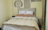 Туры в отель sneferu pyramids inn