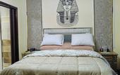Туры в отель sneferu pyramids inn