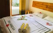 Туры в отель Dhontakuru Guesthouse