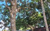 Туры в отель Velora Bay Koh Jum
