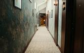 Туры в отель Hill Chalet Hotel & Resort
