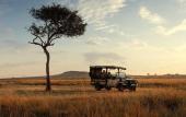 Туры в отель The Ritz-Carlton, Masai Mara Safari Camp