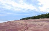 Туры в отель Ceylonta Beach Resort and Spa