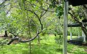 Туры в отель Sigiri Suncap Cottage