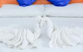 Туры в отель Estro Guesthouse